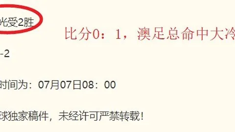 2026赛季墨西联托卢卡队深度剖析：实战比分解析指南