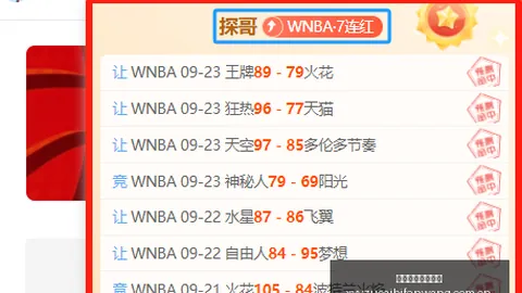 队友支持全记录：格伊安心后腰的秘诀